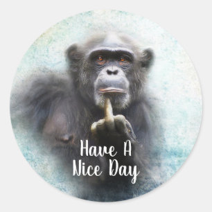 Adesivo Curioso Ofensivo Chimpanzé Dedo Médio
