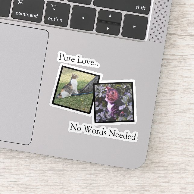 Adesivo Customizable Pet Photo vinyl Sticker (Detalhe)
