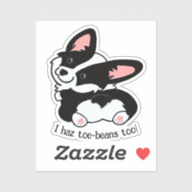 Cute Corgi com toe-beans