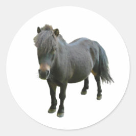 Adesivo Cute Dartmoor Pony