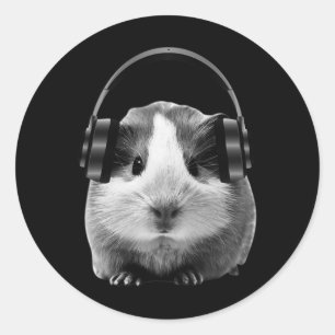 Adesivo Cute Guiné Pig Ouvindo Dubstep