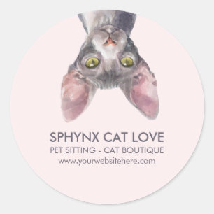Adesivo Cute Pequeno Rosa Canadense Sphynx Gato Carro