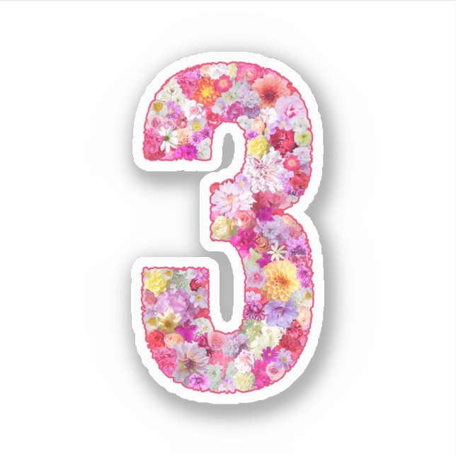 Adesivo Cute Pink Decorative Botanical Floral Number 3 (Frente)