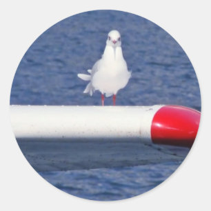 Adesivo Cute Seagull White - bordadores