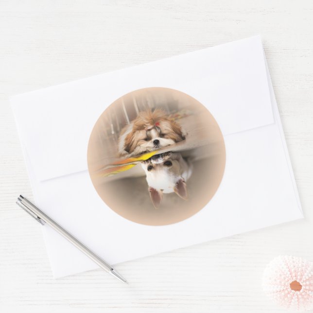 Adesivo Cute shih tzu e chihuahua (Envelope)