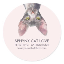 Cute Small Pink Canadian Sphynx Cat Car