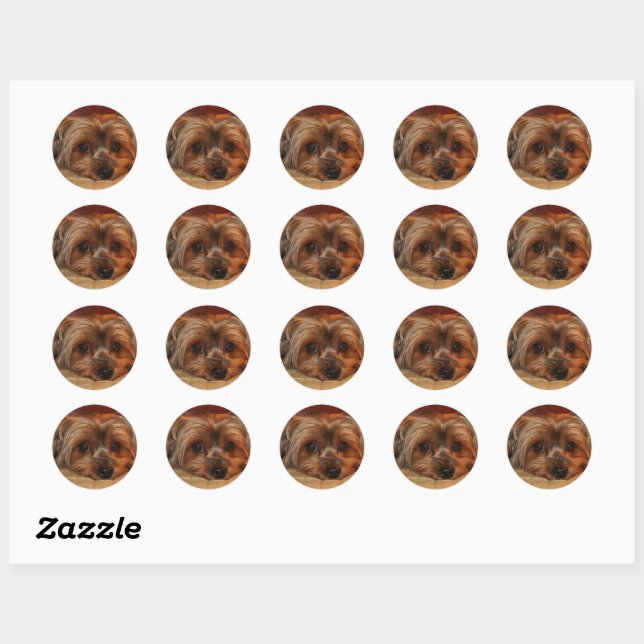 Adesivo Cute Yorkshire Terrier Puppy Dog (Folha)