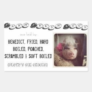 adesivo da caixa de ovo