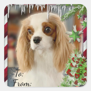Adesivo da etiqueta de presente de Natal Blenheim