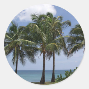 Adesivo da Palm Trees