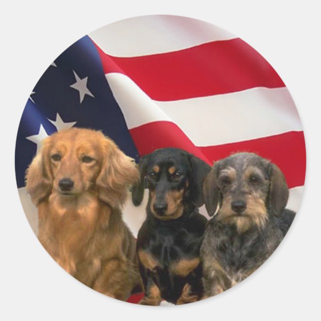 Adesivo Dachshund America Sticker (Frente)