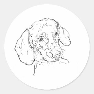 Adesivo Dachshund, Cachorro Salsicha, Cachorro Wiener