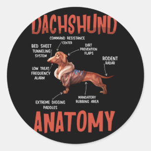 Adesivo Dachshund Cute para a Anatomia do Wiener Doxie Lov