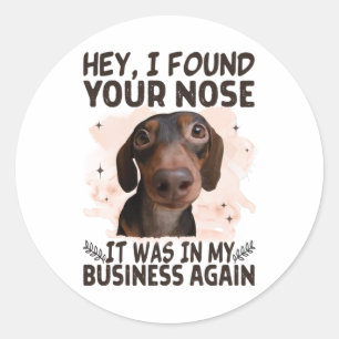 Adesivo Dachshund Ei Encontrei Seu Nariz Que Era Meu Negóc