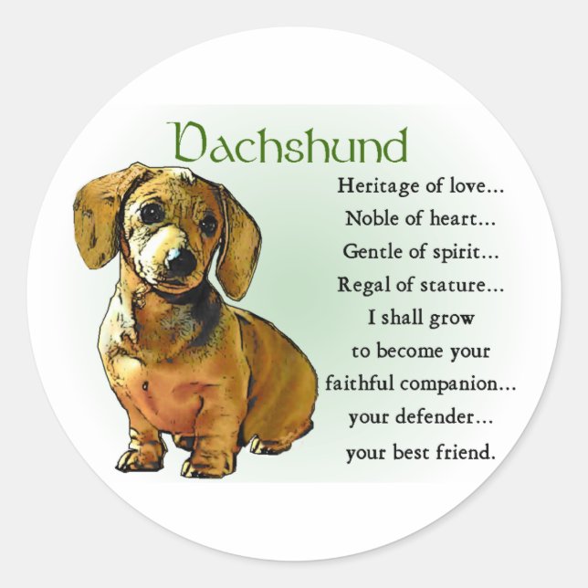 Adesivo Dachshund Gifts (Frente)