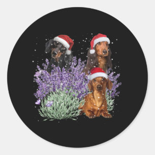 Adesivo Dachshund Lavanda Flor Presente De Natal Para Ela
