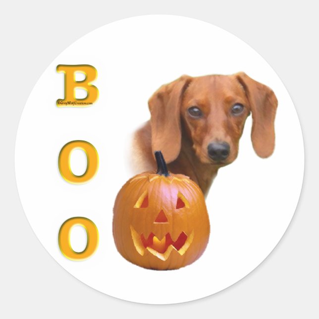 Adesivo Dachshund (liso) Boo (Frente)