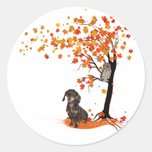 Adesivo Dachshund Owl E Fall Tree Dachshund Lover Outono