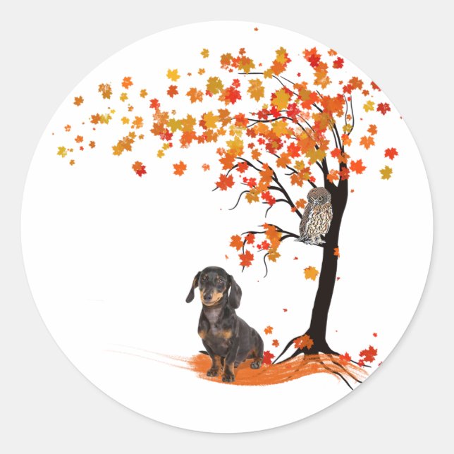 Adesivo Dachshund Owl E Fall Tree Dachshund Lover Outono (Frente)