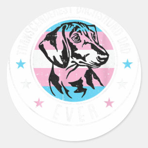 Adesivo Dachshund Pai LGBT-Q Cão do Orgulho Transgênero