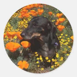 Adesivo Dachshund Puppy com flores silvestres