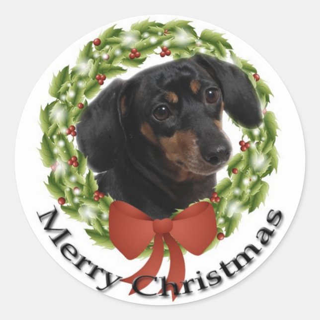Adesivo Dachshund Sticker (Frente)