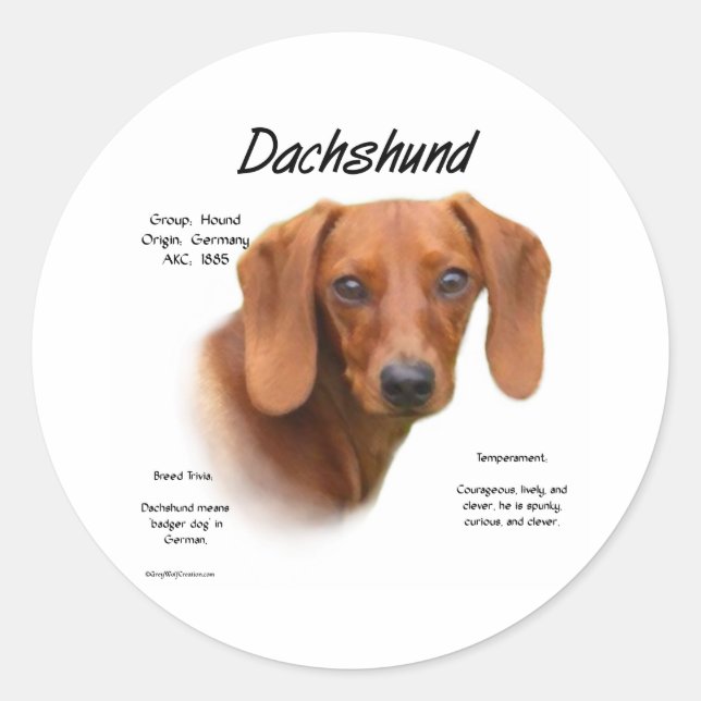 Adesivo Dachshund Suave Atende à Raça - Personalizado (Frente)