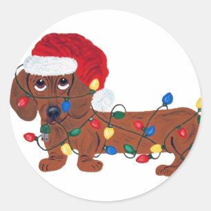 Adesivo Dachshund Tangled nas luzes de Natal (vermelhas)