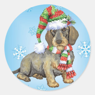 Adesivo Dachshund Wirehaired feliz de Howlidays