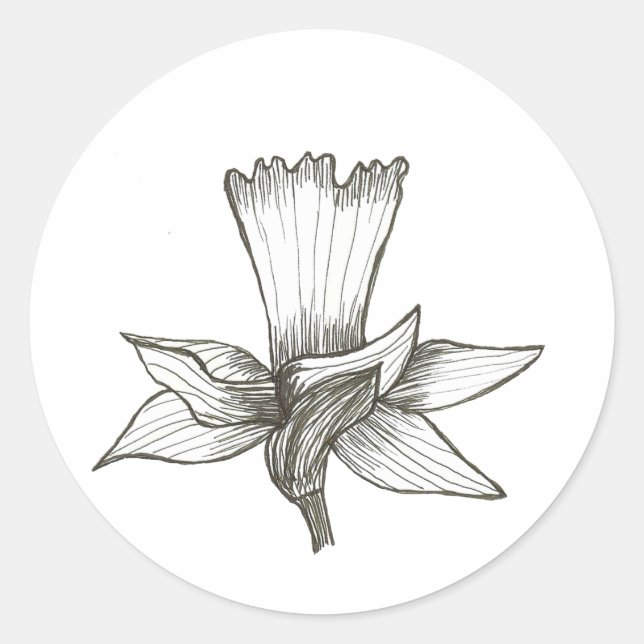 Adesivo Daffodil Sticker (Frente)