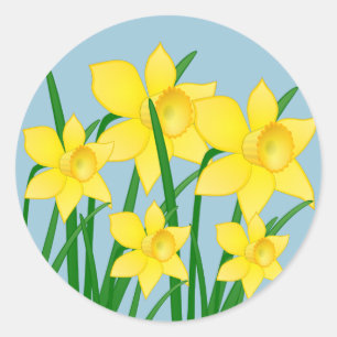 Adesivo Daffodils Stickers