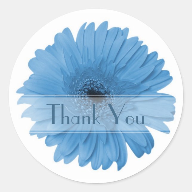 Adesivo Daisy Custom Floral Sticker (Frente)