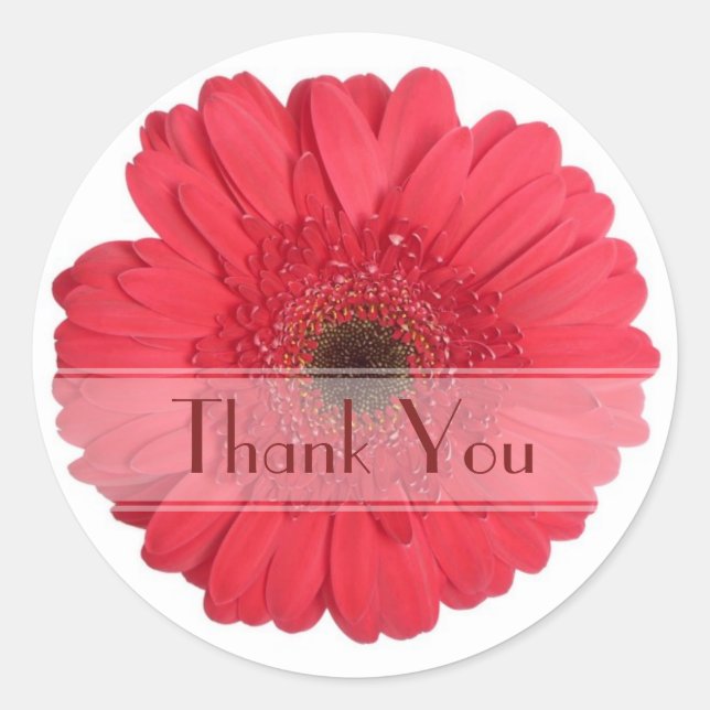 Adesivo Daisy Custom Floral Sticker (Frente)