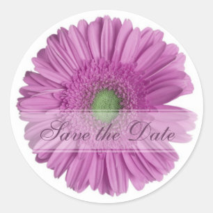 Adesivo Daisy Custom Floral Sticker