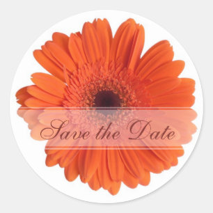 Adesivo Daisy Custom Floral Sticker