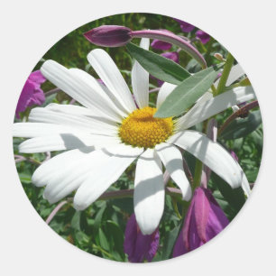 Adesivo Daisy e Fireweed