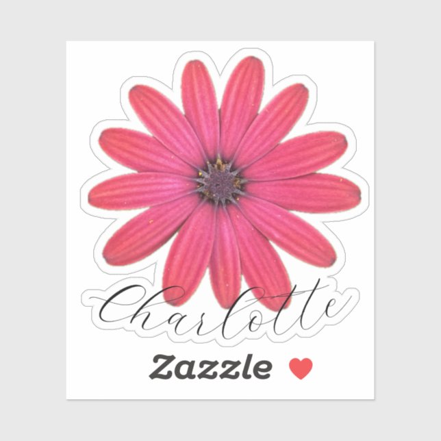 Adesivo Daisy name sticker (Folha)
