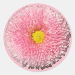 Adesivo Daisy Sticker