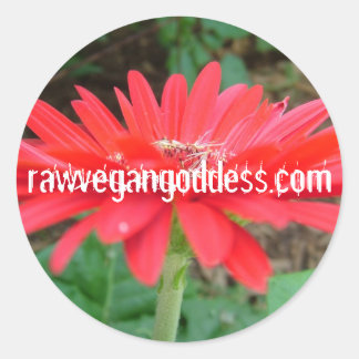 Adesivo Daisy Sticker