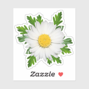 Adesivo Daisy Sticker