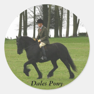 Adesivo Dales Pony Sticker