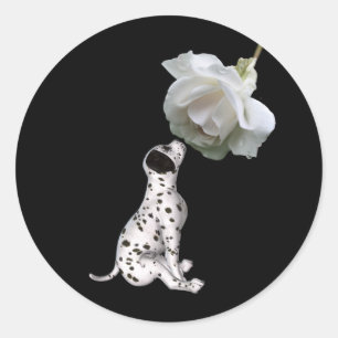 Adesivo Dalmaciana Puppy E White Rose Sticker