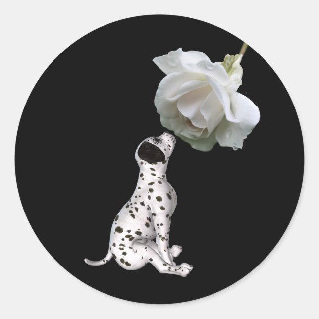 Adesivo Dalmaciana Puppy E White Rose Sticker (Frente)