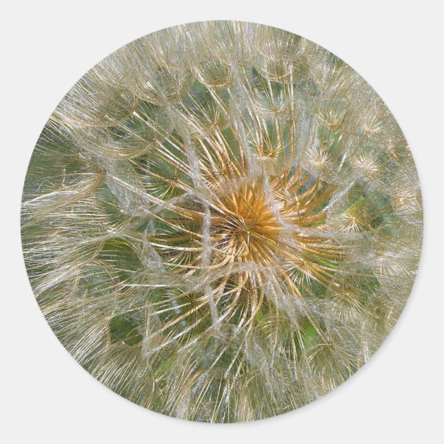 Adesivo Dandelion Flower (Frente)
