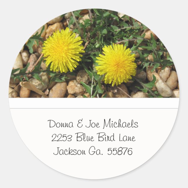 Adesivo Dandelions Address Stickers (Frente)