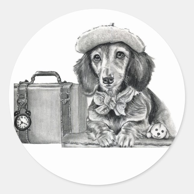 Adesivo Dapper dachshund pronto para aventura (Frente)