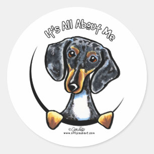 Adesivo Dapple o Dachshund seu toda aproximadamente mim