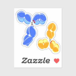 Adesivo DAR2, azul/amarelo, conjugado com o fármaco antico