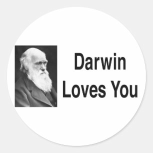Adesivo Darwin ama-o 2