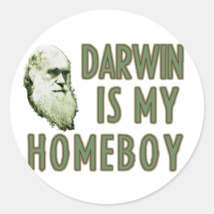 Adesivo Darwin é meu ficar em casa